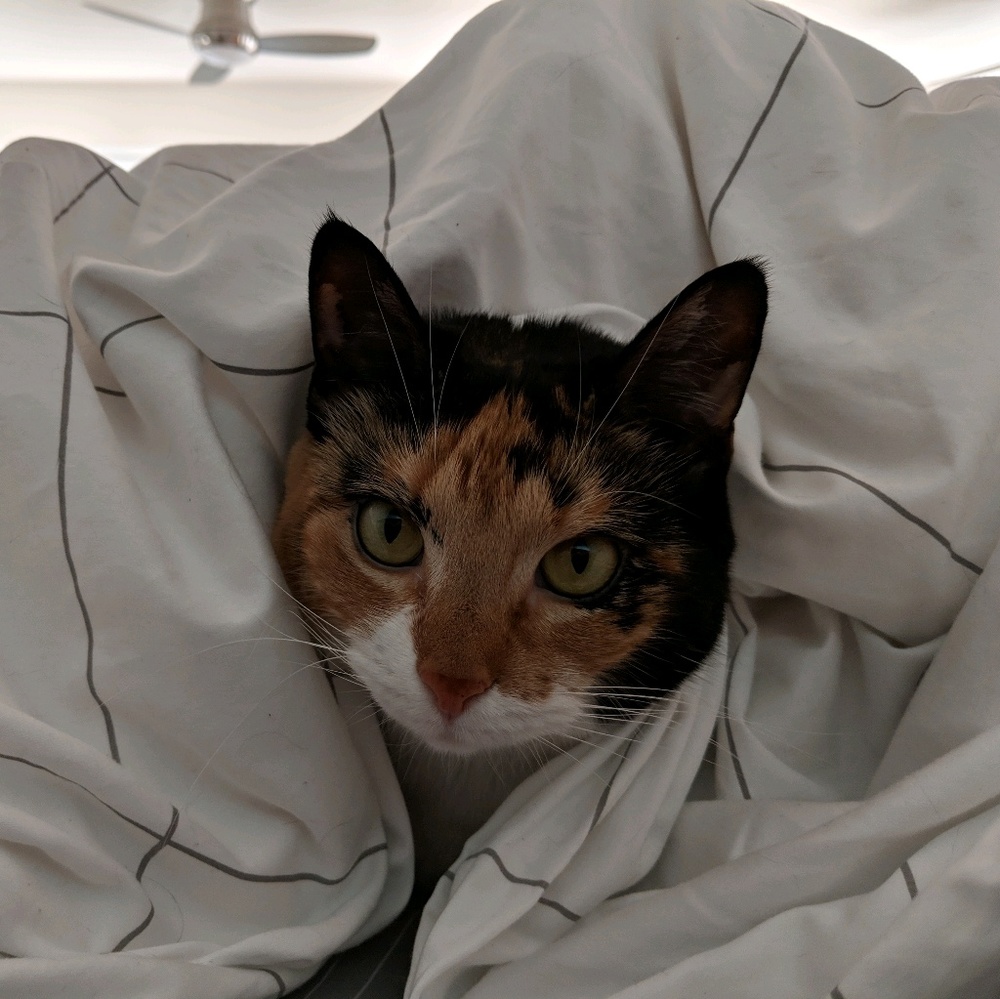 Meet your Posher, Cory